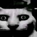 doomed_insanity