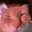 awoo