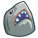 shark shark