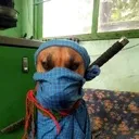 ninja