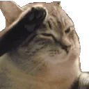 o7