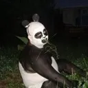 jinwilderness
