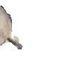 sealarrive