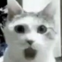 catshock3 Discord emoji
