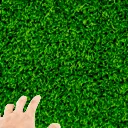 touchgrasshomie