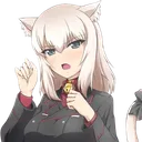 Erikacat