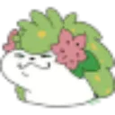 shaysmug