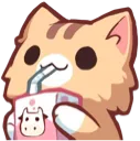 cat_drink