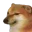 bruh