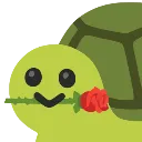 cerroseturtle