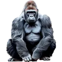 gorila