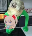 TakeThisFumo