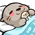 sealsleepy
