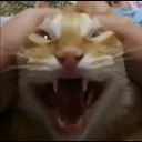 rahhhh