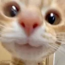 hai