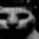 TGS_Bad2