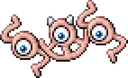 Sus