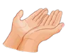 xin