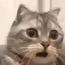 shock