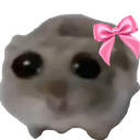 animalcutehamster Discord emoji