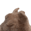 dancebunny Discord emoji