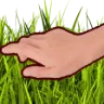 touchgrass