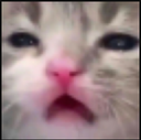 huh Discord sticker | MasterJack