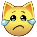 Tiktok4_cry