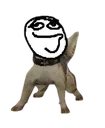 cluedog