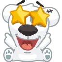 pnv_dog