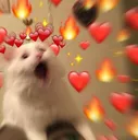 LOVECATTO