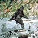 bigfoot