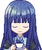 BernSip