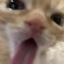licking licking