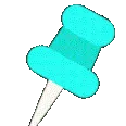 party_pin