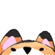 Luna_hoodie_peeking_lurking