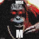 WiseM
