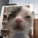 sleepyrn