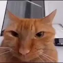 wireless wireless