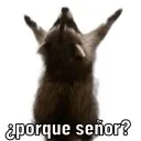 yisus