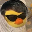 ducky