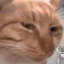 side_eye_1