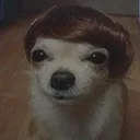 seniorwoofers