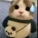 okok