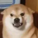 grrrrr