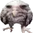 buma