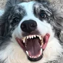 haru_smile