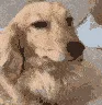 00