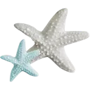 0_8StarFish
