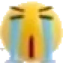 shittysob shittysob